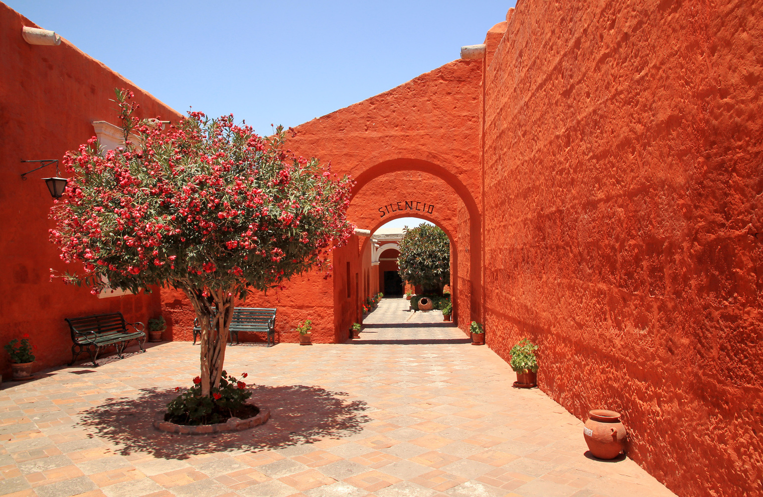 Enigma, Peru - Arequipa & Colca6